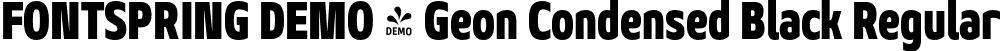 FONTSPRING DEMO - Geon Condensed Black Regular font - Fontspring-DEMO-geoncond-black.otf