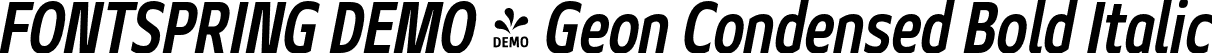 FONTSPRING DEMO - Geon Condensed Bold Italic font - Fontspring-DEMO-geoncond-boldit.otf