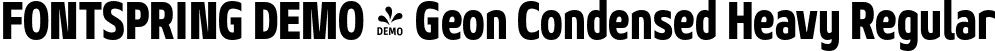 FONTSPRING DEMO - Geon Condensed Heavy Regular font - Fontspring-DEMO-geoncond-heavy.otf