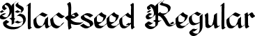 Blackseed Regular font - BlackseedRegular-7BAJB.ttf