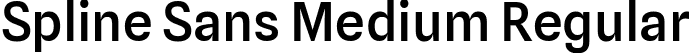 Spline Sans Medium Regular font - SplineSans-Medium.ttf