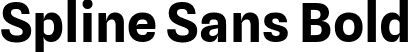 Spline Sans Bold font - SplineSans-Bold.ttf