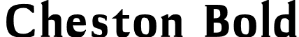 Cheston Bold font - Cheston-Bold.otf