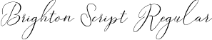 Brighton Script Regular font - Brington Script otf.otf