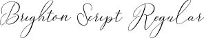 Brighton Script Regular font - Brington Script ttf.ttf