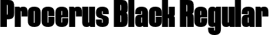 Procerus Black Regular font - Procerus Black.ttf