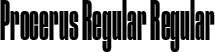 Procerus Regular Regular font - Procerus Regular.ttf