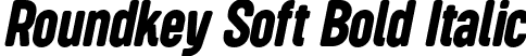 Roundkey Soft Bold Italic font - RoundkeySoft BoldOblique.otf