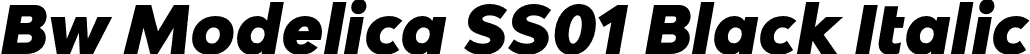 Bw Modelica SS01 Black Italic font - BwModelicaSS01-BlackItalic.otf