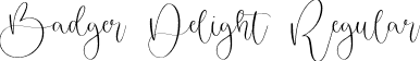 Badger Delight Regular font - Badger Delight.ttf