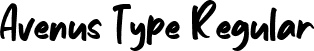 Avenus Type Regular font - avenustype-gxlm4.ttf