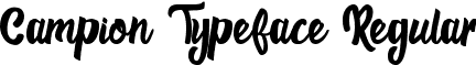 Campion Typeface Regular font - Campion Typeface.ttf