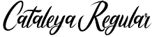 Cataleya Regular font - Cataleya.ttf