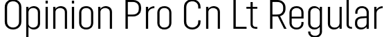 Opinion Pro Cn Lt Regular font - Mint Type - Opinion Pro Condensed Light.otf