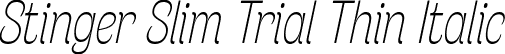 Stinger Slim Trial Thin Italic font - StingerSlimTrial-ThinItalic.ttf