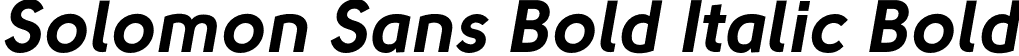 Solomon Sans Bold Italic Bold font - Solomon Sans Bold Italic.otf