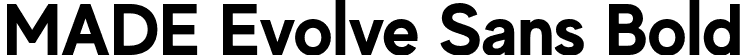 MADE Evolve Sans Bold font - MADE Evolve Sans Bold (PERSONAL USE).otf