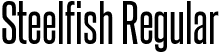 Steelfish Regular font - steelfish rg.ttf