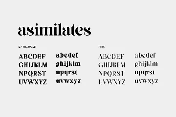 Asimilates Modern Classic Serif Display Font