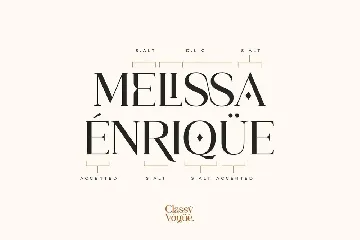 Classy Vogue - Stylish Serif font