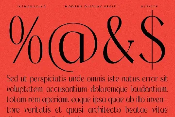 Wersfiga Modern Display Serif font