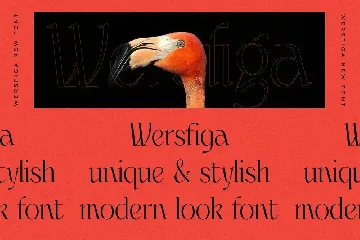 Wersfiga Modern Display Serif font