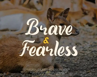 Quinka - Casual Script Font