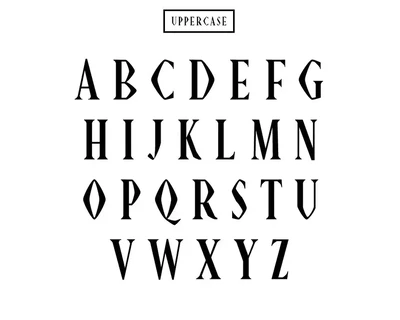 Abell Serif Font Family Pack