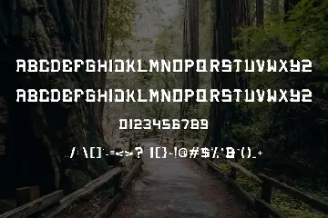 BACEO POWER - Font Serif