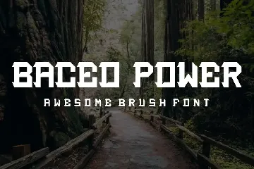 BACEO POWER - Font Serif