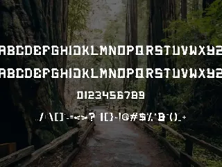 BACEO POWER - Font Serif