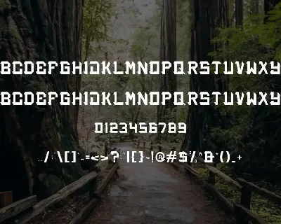 BACEO POWER - Font Serif