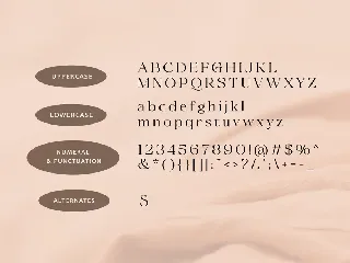 Santorizo - Stunning Beauty Ligature Serif Font