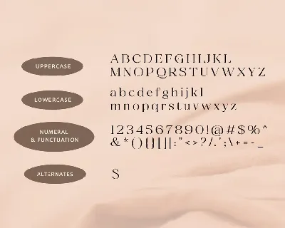 Santorizo - Stunning Beauty Ligature Serif Font