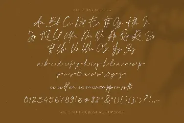 Billion Reach - Signature Script font