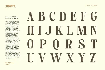 Trafit font