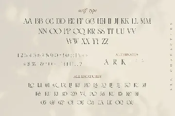 Blink Modern Serif font