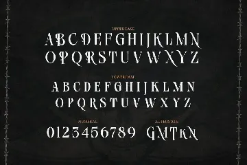 Rosamone - Pirates Display Typeface font