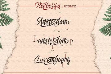 Redberries Script font