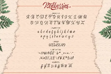 Redberries Script font