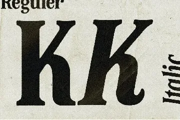Kaltjer - Serif Font