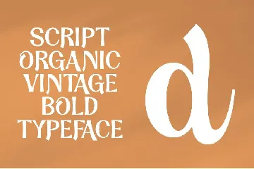 Dandy Script Typeface font