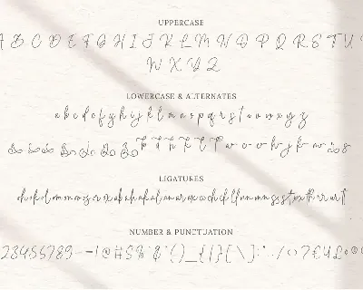 Bella Signature font