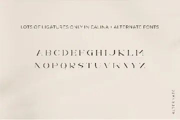 Calina serif classy font