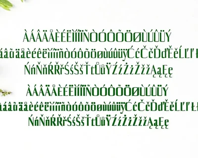 Axell Serif Font Family
