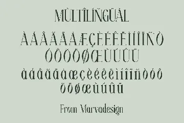 Moelina - A Modern Serif Font