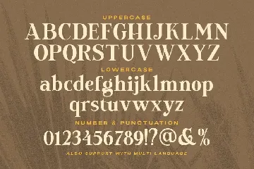 Newfield font