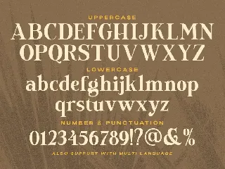 Newfield font