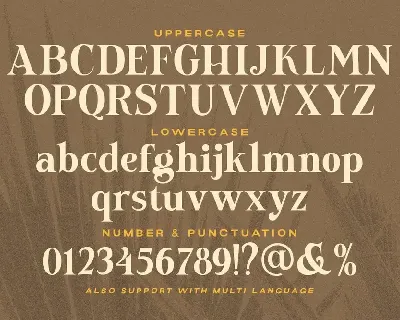 Newfield font