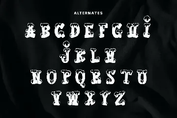 Moxwel Snows Winter Playful Display Font